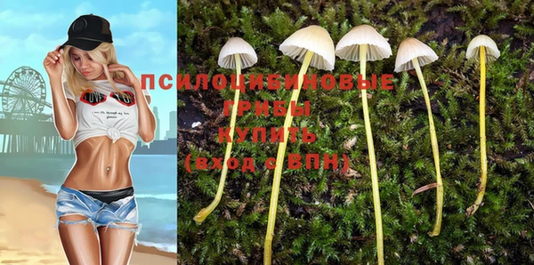гашик Видное