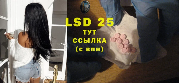 спайс Новодвинск