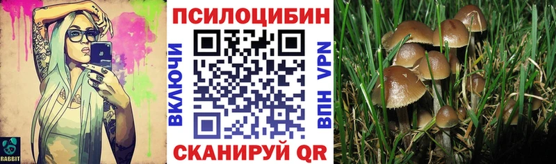 наркотики  Нижний Тагил  Галлюциногенные грибы Psilocybine cubensis 