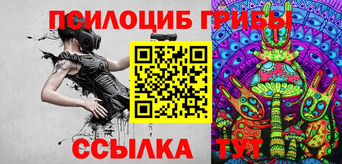 Псилоцибиновые грибы MAGIC MUSHROOMS  Вход с VPN  Нижний Тагил 